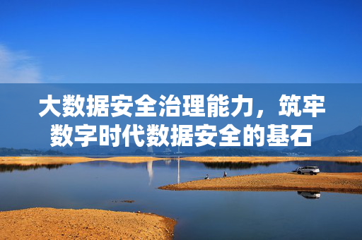大数据安全治理能力，筑牢数字时代数据安全的基石