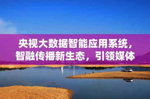 央视大数据智能应用系统，智融传播新生态，引领媒体融合新未来，央视大数据智能应用系统，智融传播新生态 引领媒体融合新未来