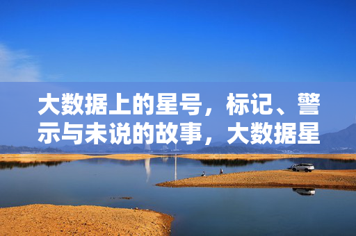 大数据上的星号，标记、警示与未说的故事，大数据星号，标记、警示与未说的故事