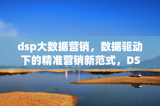 dsp大数据营销，数据驱动下的精准营销新范式，DSP大数据营销，数据驱动的精准营销新范式