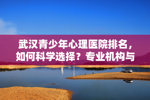 武汉青少年心理医院排名,如何科学选择?专业机构与就医指南,武汉青少年心理医院排名,科学选择与就医指南