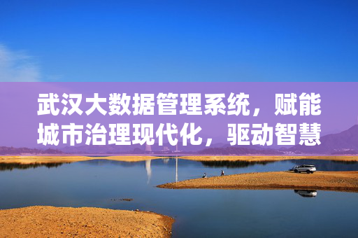 武汉大数据管理系统，赋能城市治理现代化，驱动智慧城市建设，武汉大数据管理系统，赋能治理现代化 驱动智慧城市建设
