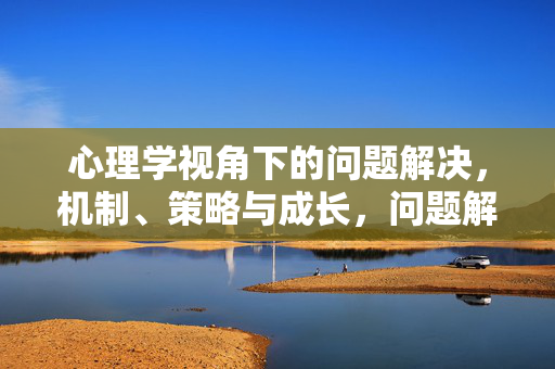心理学视角下的问题解决,机制、策略与成长,问题解决的心理学机制、策略与成长