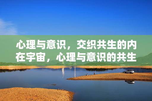 心理与意识，交织共生的内在宇宙，心理与意识的共生宇宙