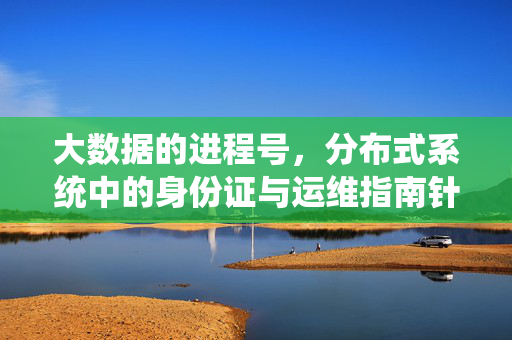 大数据的进程号,分布式系统中的身份证与运维指南针,大数据分布式系统的进程号,身份标识与运维指南针