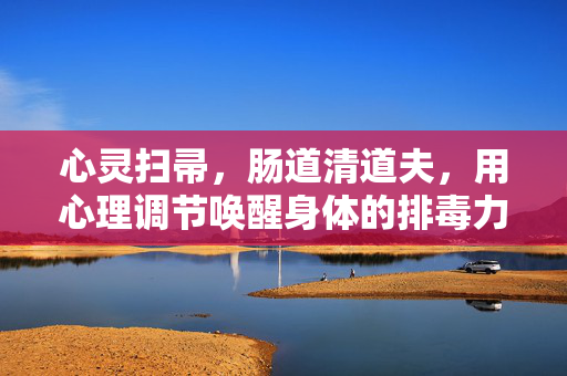 心灵扫帚,肠道清道夫,用心理调节唤醒身体的排毒力,心灵扫帚,肠道清道夫,心理调节唤醒身体排毒力