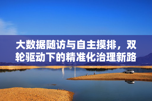 大数据随访与自主摸排，双轮驱动下的精准化治理新路径，大数据随访与自主摸排双轮驱动精准化治理新路径