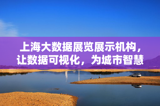 上海大数据展览展示机构,让数据可视化,为城市智慧搭桥梁