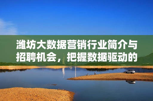 潍坊大数据营销行业简介与招聘机会，把握数据驱动的营销未来，潍坊大数据营销行业，简介、招聘与数据驱动未来