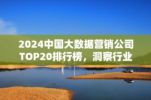 2024中国大数据营销公司TOP20排行榜，洞察行业趋势与头部玩家实力