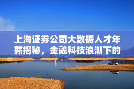 上海证券公司大数据人才年薪揭秘,金融科技浪潮下的高薪密码与职业前景,上海证券大数据人才年薪揭秘,金融科技浪潮下的高薪密码与职业前景