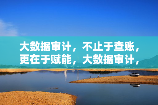 大数据审计，不止于查账，更在于赋能，大数据审计，赋能不止于查账