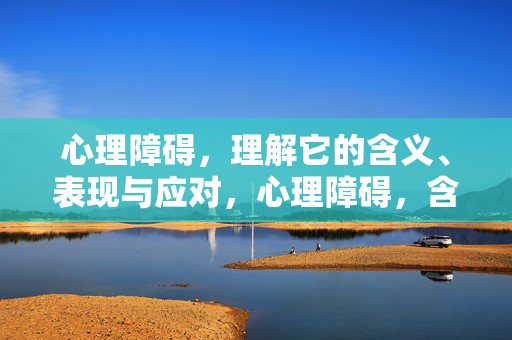 心理障碍，理解它的含义、表现与应对，心理障碍，含义、表现与应对探析