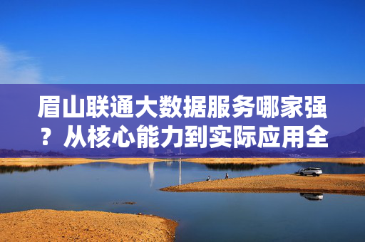眉山联通大数据服务哪家强？从核心能力到实际应用全面解析，眉山联通大数据服务，核心能力与实际应用全解析