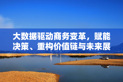 大数据驱动商务变革,赋能决策、重构价值链与未来展望,大数据驱动商务变革,赋能决策、重构价值链与未来展望