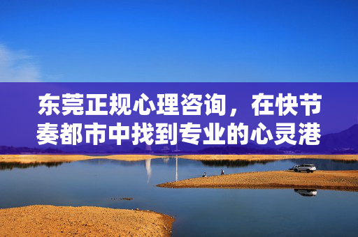 东莞正规心理咨询，在快节奏都市中找到专业的心灵港湾，东莞正规心理咨询，快节奏都市的心灵港湾