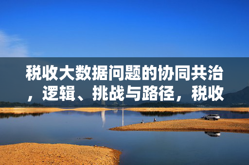 税收大数据问题的协同共治,逻辑、挑战与路径,税收大数据协同共治,逻辑、挑战与路径