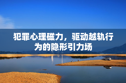 犯罪心理磁力,驱动越轨行为的隐形引力场
