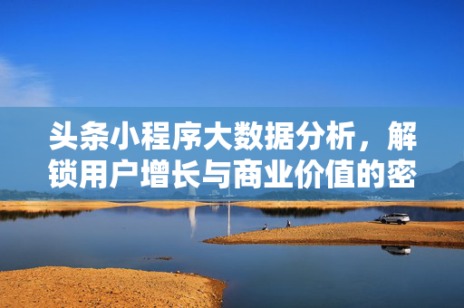 头条小程序大数据分析，解锁用户增长与商业价值的密钥，头条小程序大数据分析，解锁用户增长与商业价值的密钥
