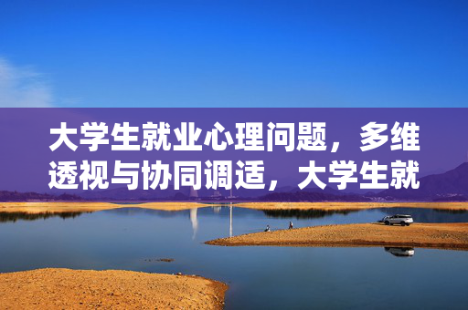 大学生就业心理问题，多维透视与协同调适，大学生就业心理问题，多维透视与协同调适