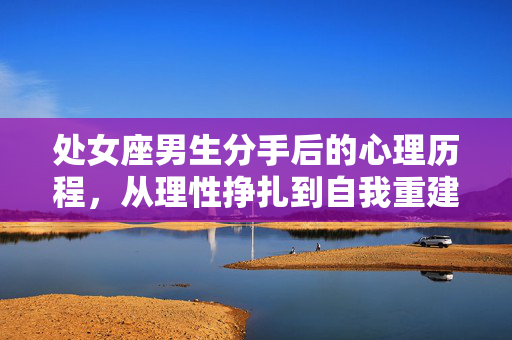 处女座男生分手后的心理历程，从理性挣扎到自我重建，处女座男生分手心理历程，理性挣扎到自我重建