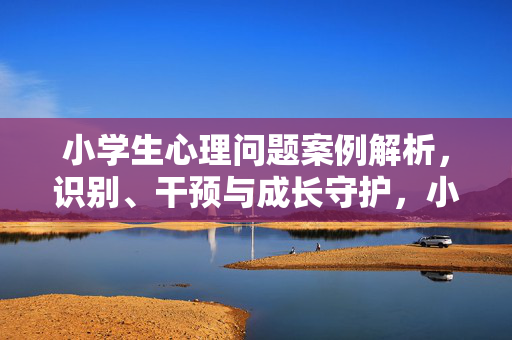 小学生心理问题案例解析，识别、干预与成长守护，小学生心理问题案例解析，识别、干预与成长守护