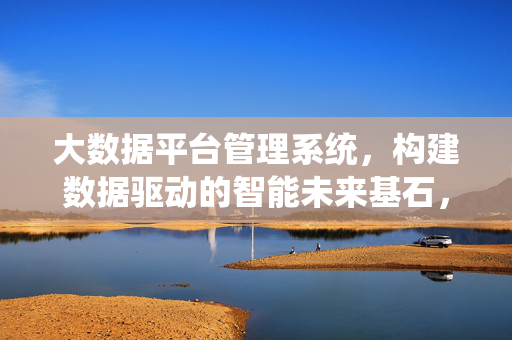 大数据平台管理系统，构建数据驱动的智能未来基石，大数据平台管理系统，数据驱动智能未来的基石