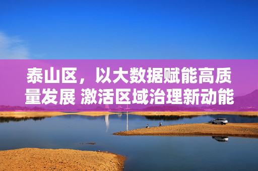 泰山区，以大数据赋能高质量发展 激活区域治理新动能，泰山区以大数据赋能高质量发展 激活区域治理新动能
