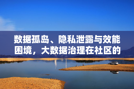 数据孤岛、隐私泄露与效能困境，大数据治理在社区的实践挑战案例研究，数据孤岛、隐私泄露与效能困境，社区大数据治理的实践挑战案例研究