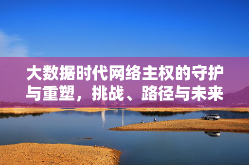 大数据时代网络主权的守护与重塑,挑战、路径与未来,大数据时代网络主权的守护与重塑,挑战、路径与未来