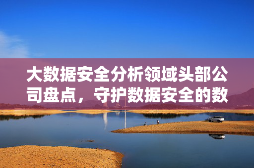 大数据安全分析领域头部公司盘点,守护数据安全的数字哨兵,大数据安全分析头部公司盘点,守护数据安全的数字哨兵