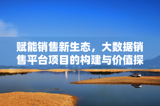 赋能销售新生态，大数据销售平台项目的构建与价值探索，赋能销售新生态，大数据销售平台构建与价值探索
