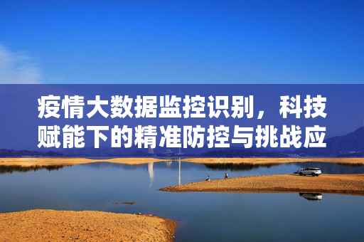 疫情大数据监控识别，科技赋能下的精准防控与挑战应对，疫情大数据监控识别，科技赋能精准防控与挑战应对