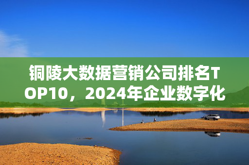 铜陵大数据营销公司排名TOP10，2024年企业数字化转型必备服务商指南，2024铜陵大数据营销公司TOP10，企业数字化转型必备服务商指南