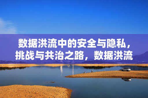 数据洪流中的安全与隐私，挑战与共治之路，数据洪流中的安全与隐私，挑战与共治之路