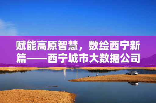 赋能高原智慧，数绘西宁新篇——西宁城市大数据公司发展纪实，西宁城市大数据公司，赋能高原智慧 数绘西宁新篇
