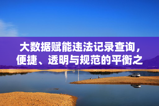 大数据赋能违法记录查询，便捷、透明与规范的平衡之道，违法记录查询的大数据赋能，便捷透明与规范的平衡之道