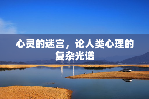 心灵的迷宫,论人类心理的复杂光谱
