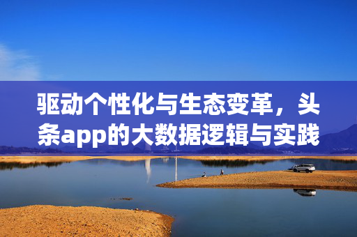 驱动个性化与生态变革，头条app的大数据逻辑与实践，头条app，大数据驱动个性化与生态变革的实践