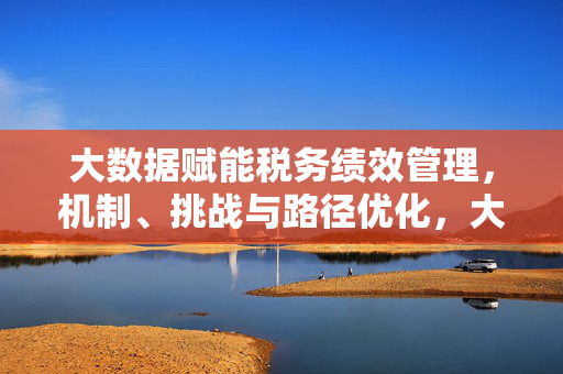 大数据赋能税务绩效管理，机制、挑战与路径优化，大数据赋能税务绩效管理，机制、挑战与路径优化