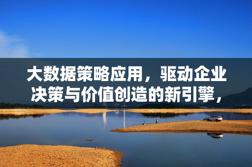大数据策略应用，驱动企业决策与价值创造的新引擎，大数据策略应用，驱动企业决策与价值创造的新引擎
