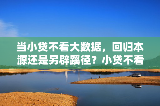 当小贷不看大数据，回归本源还是另辟蹊径？小贷不看大数据，回归本源还是另辟蹊径？