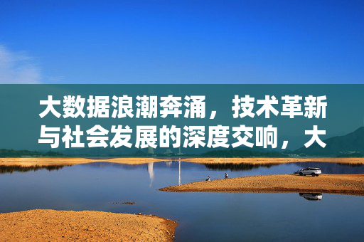 大数据浪潮奔涌，技术革新与社会发展的深度交响，大数据浪潮，技术革新与社会发展的深度交响