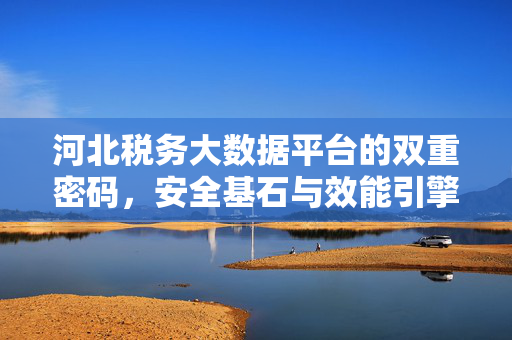 河北税务大数据平台的双重密码，安全基石与效能引擎，河北税务大数据平台的双重密码，安全基石与效能引擎