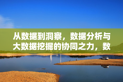 从数据到洞察，数据分析与大数据挖掘的协同之力，数据分析与大数据挖掘，协同驱动数据洞察