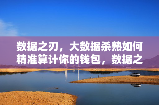 数据之刃，大数据杀熟如何精准算计你的钱包，数据之刃，大数据杀熟精准算计你的钱包