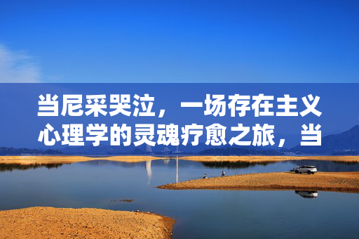 当尼采哭泣，一场存在主义心理学的灵魂疗愈之旅，当尼采哭泣，存在主义心理学的灵魂疗愈之旅