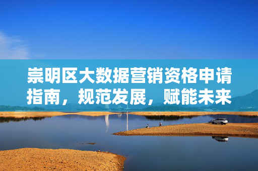 崇明区大数据营销资格申请指南，规范发展，赋能未来，崇明区大数据营销资格申请指南，规范发展，赋能未来