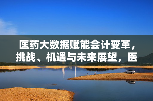 医药大数据赋能会计变革，挑战、机遇与未来展望，医药大数据赋能会计变革，挑战、机遇与未来展望