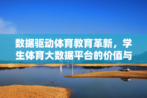 数据驱动体育教育革新，学生体育大数据平台的价值与实践，数据驱动体育教育革新，学生体育大数据平台的价值与实践
